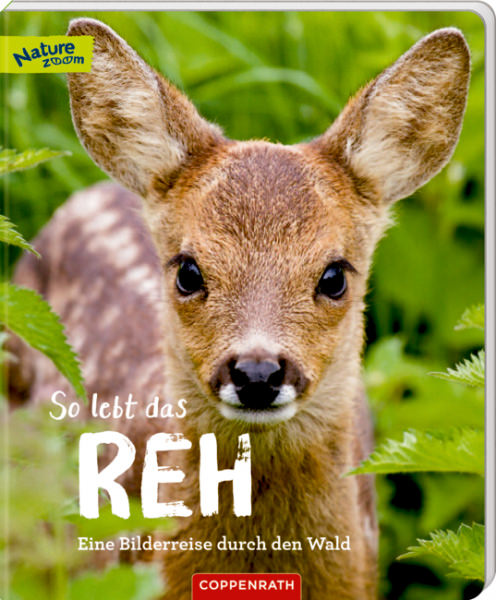 Nature Zoom - So lebt das Reh - Eine Bilderreise durch den Wald