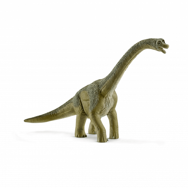 Brachiosaurus