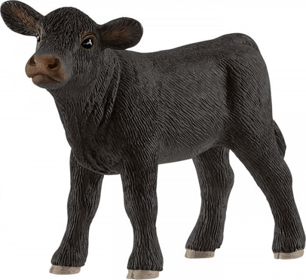 Black Angus Kalb