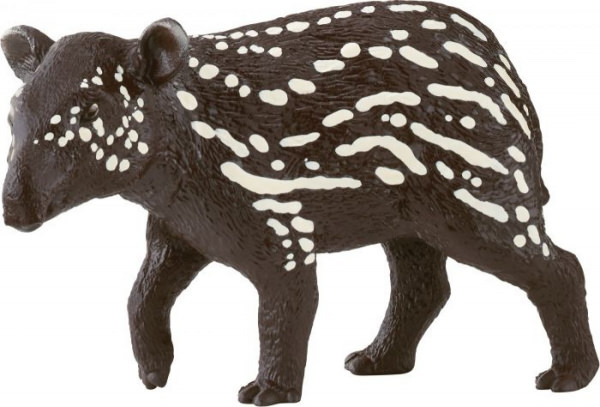 Tapir Junges