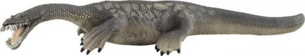 Nothosaurus