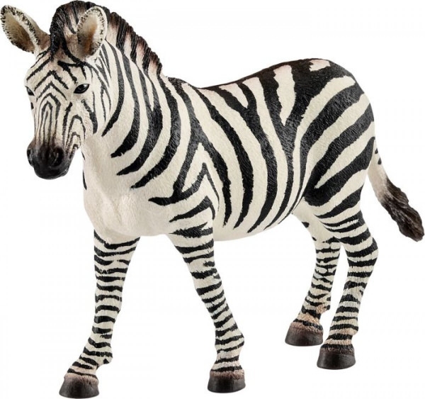 Zebra Stute