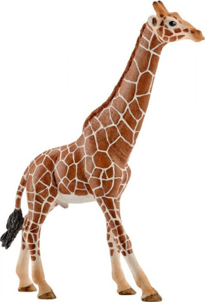 Giraffenbulle