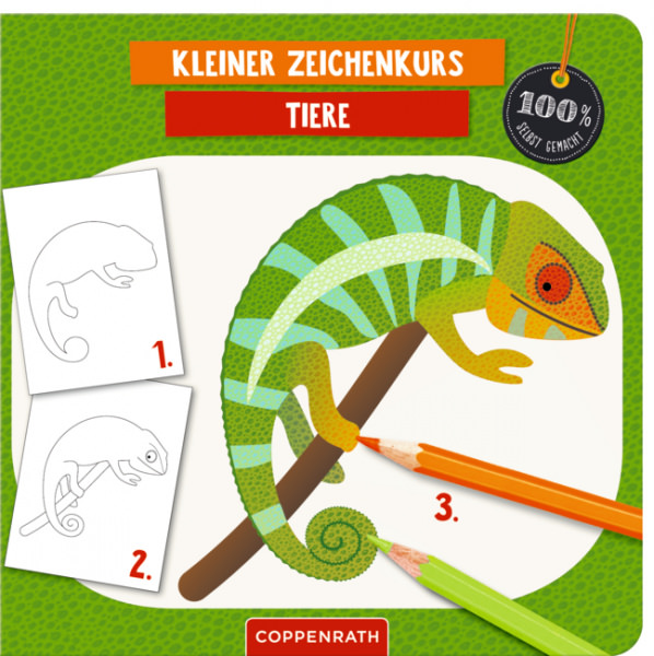 Kleiner Zeichenkurs Tiere (100% selbst gemacht)