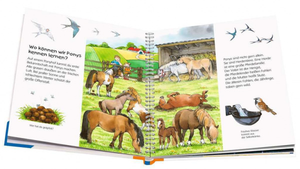 Wieso? Weshalb? Warum? Junior - Das Pony