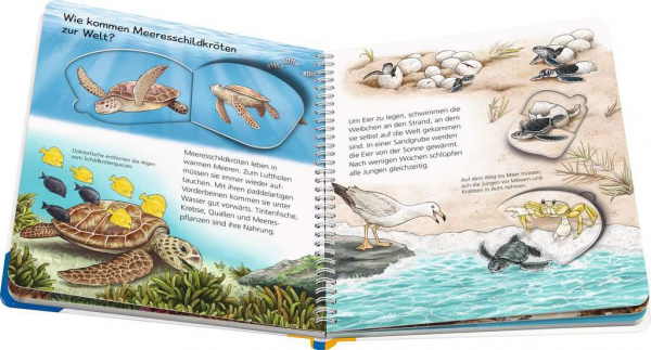 Wieso? Weshalb? Warum? junior - Tiere im Meer