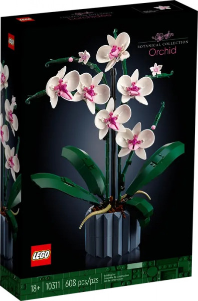 Icons Orchidee