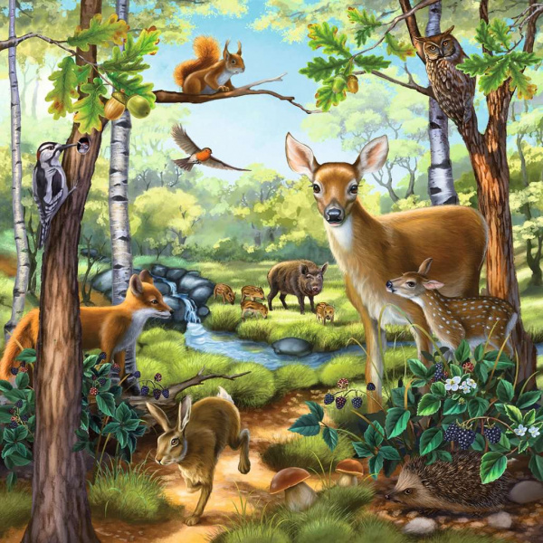 Wald-/Zoo-/Haustiere (3x49 Teile)