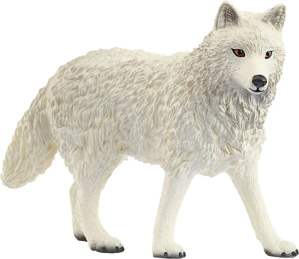 Polarwolf