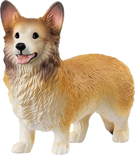 Welsh Corgi