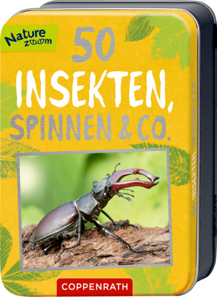 Nature Zoom - 50 Insekten, Spinnen & Co.