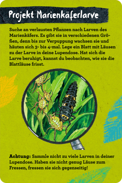 Nature Zoom - 50 Insekten, Spinnen & Co.