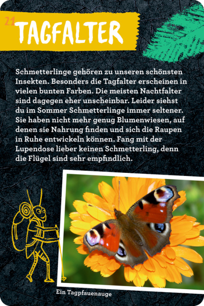 Nature Zoom - 50 Insekten, Spinnen & Co.