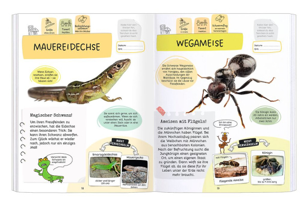 Rätseln, Stickern, Bestimmen - Insekten & Co.