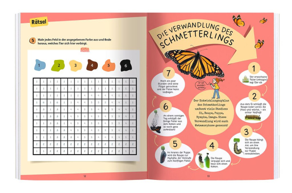 Rätseln, Stickern, Bestimmen - Insekten & Co.
