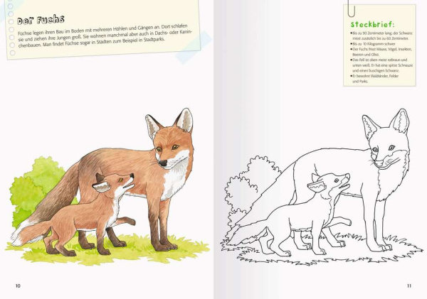 Mein großes Natur-Malbuch