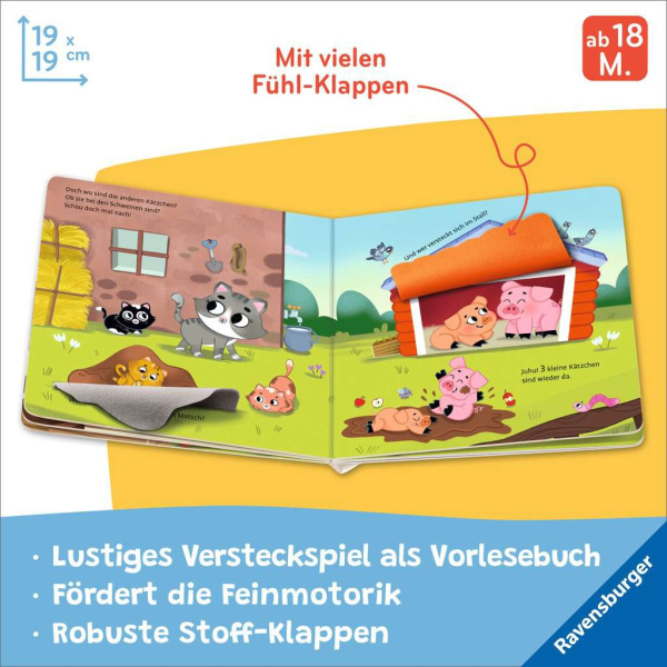 Wo seid ihr, kleine Kätzchen?