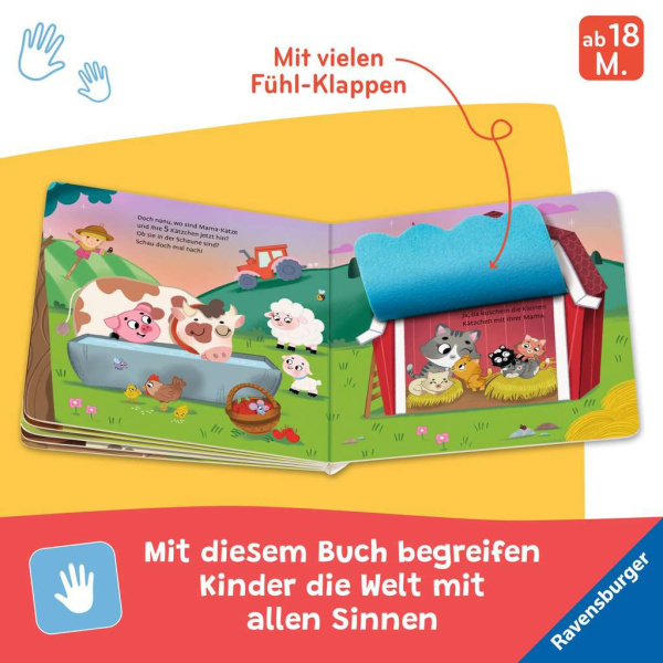 Wo seid ihr, kleine Kätzchen?