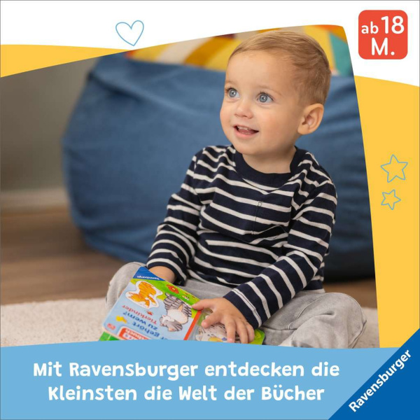 Wo seid ihr, kleine Kätzchen?