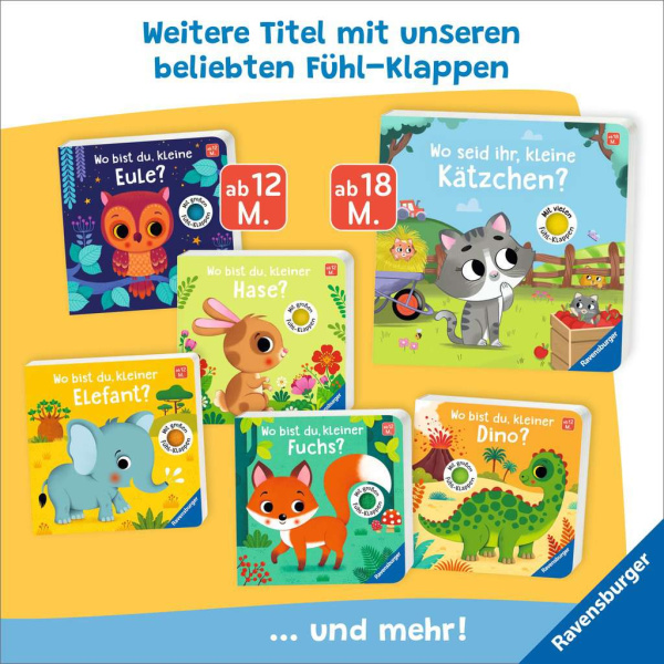 Wo seid ihr, kleine Kätzchen?