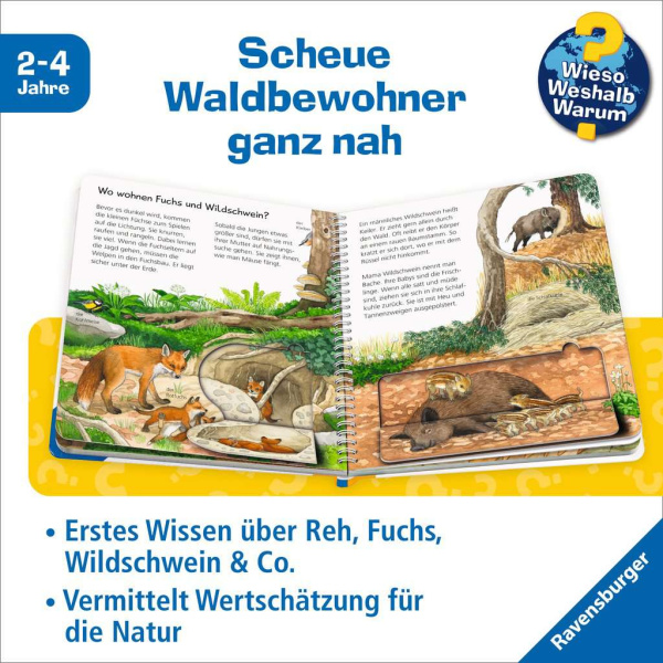 Wieso? Weshalb? Warum? junior - Tiere im Wald