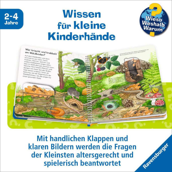 Wieso? Weshalb? Warum? junior - Tiere im Wald