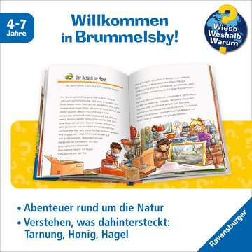Was passiert in Wald und Wiese?