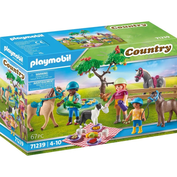 Country Picknickausflug mit Pferden