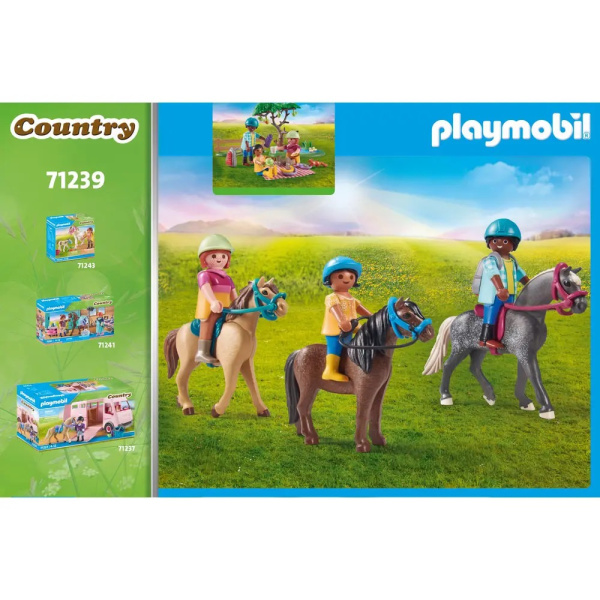 Country Picknickausflug mit Pferden