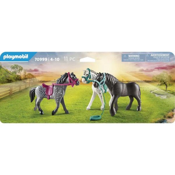 3 Pferde: Friese, Knabstrupper & Andalusier