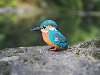 3D Bastelset Eisvogel