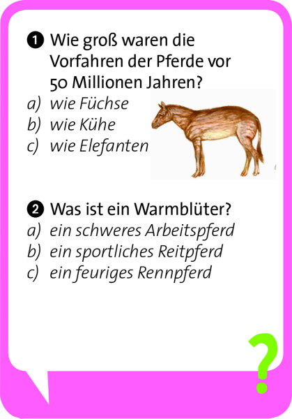 Pocket Quiz Junior Pferde