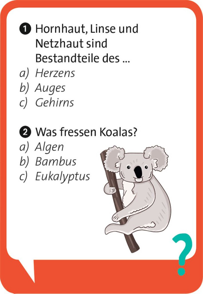 Pocket Quiz Junior - Schlaumeier