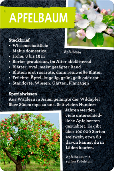 50 Bäume kennen & erleben
