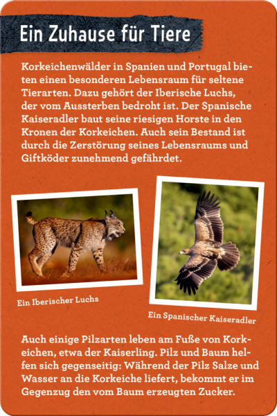 50 Bäume kennen & erleben