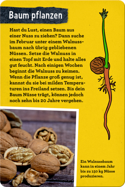 50 Bäume kennen & erleben