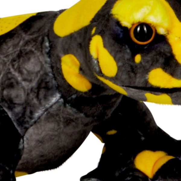 Nature Zoom - Feuersalamander