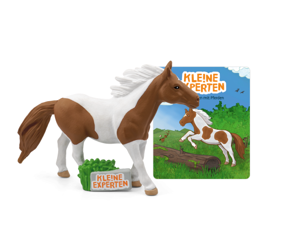 Kleine Experten - galoppieren mit Pferden