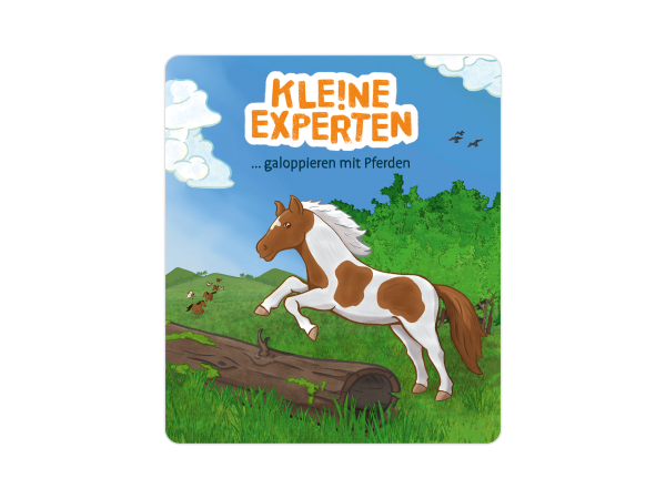 Kleine Experten - galoppieren mit Pferden
