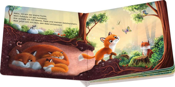 Hallo, hier bin ich! ruft der kleine Fuchs