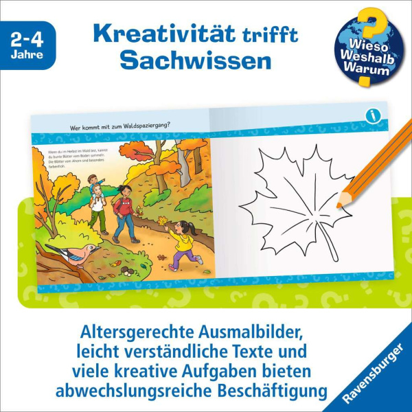 Wieso? Weshalb? Warum? Junior Aktiv - Im Wald