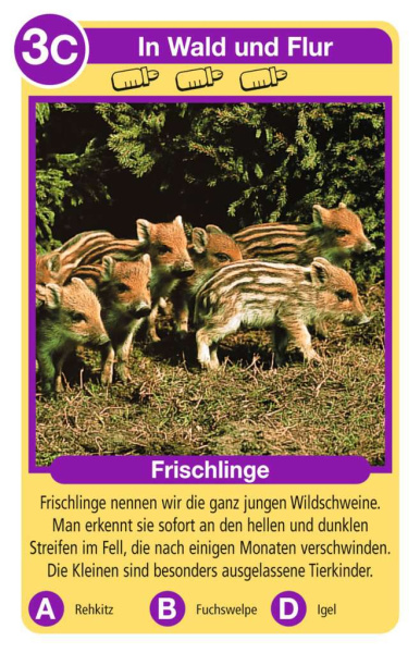 Quartett Tierkinder