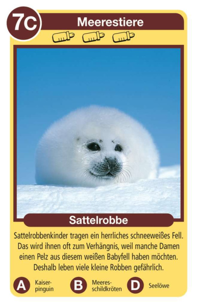 Quartett Tierkinder
