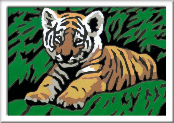 Malen nach Zahlen - Süßer Tiger