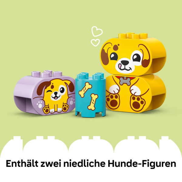 Duplo Formsortierer Welpenhaus