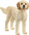 Goldendoodle