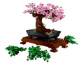 Icons Bonsai Baum
