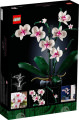 Icons Orchidee