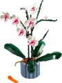 Icons Orchidee
