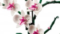 Icons Orchidee